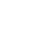 Danit Levi Logo White